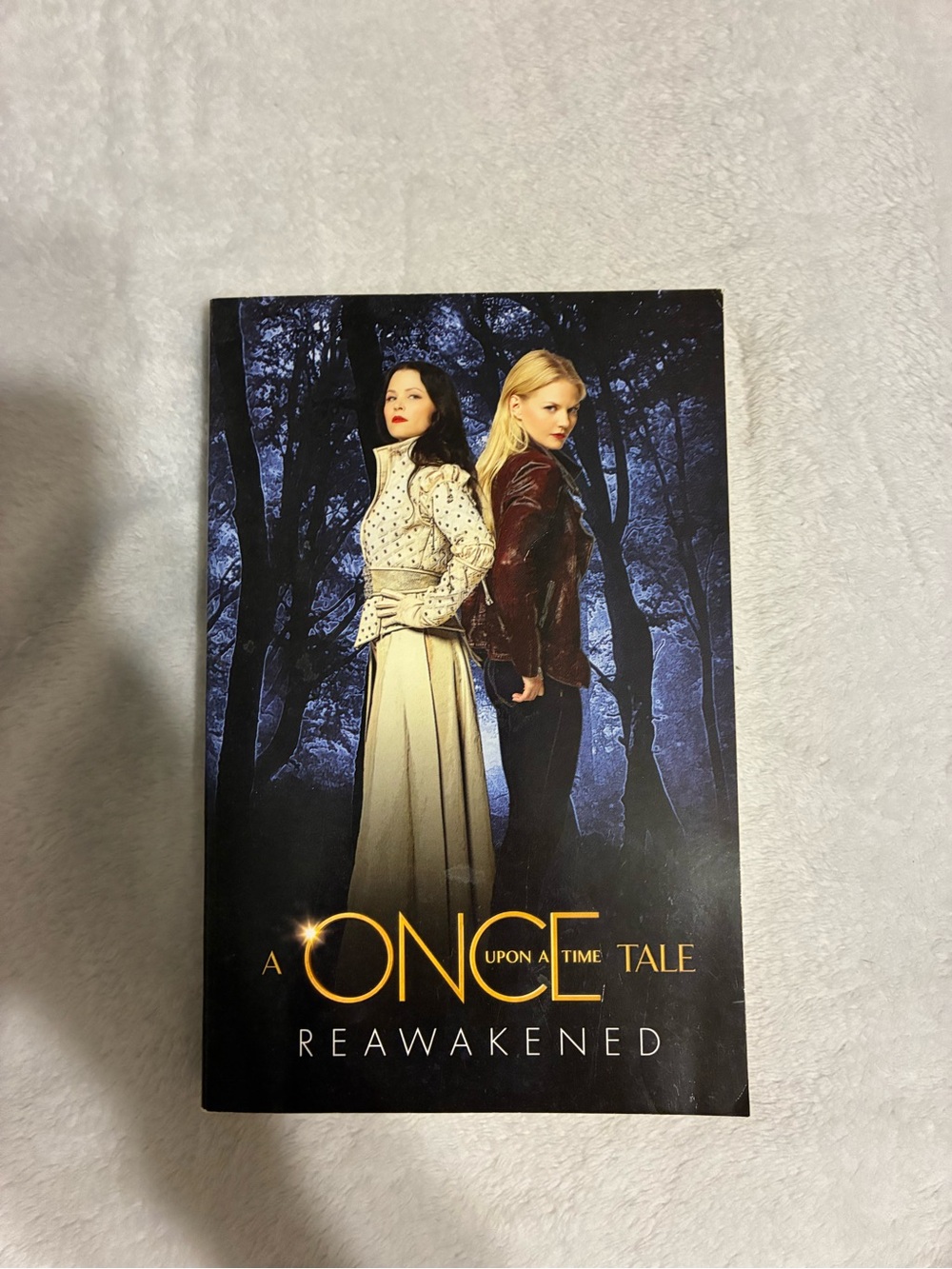 Once upon a time book